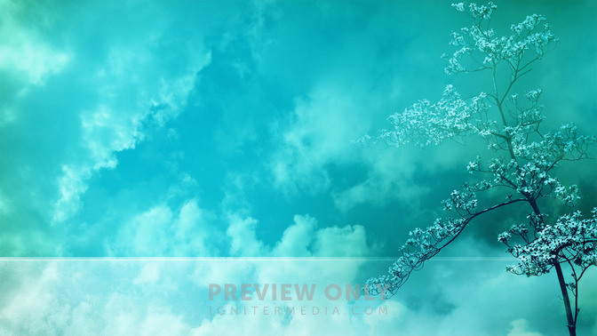 Spring_Blossom_-_Welcome_16x9-CONTENT-3#preset=tg_alt3.jpg