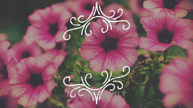 Spring_Swirls_-_Follow_Us_16x9-TITLE-3#preset=tg_title3.jpg