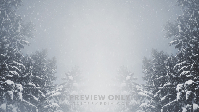 Majestic_Snow_-_Big_Trees_16x9.jpg