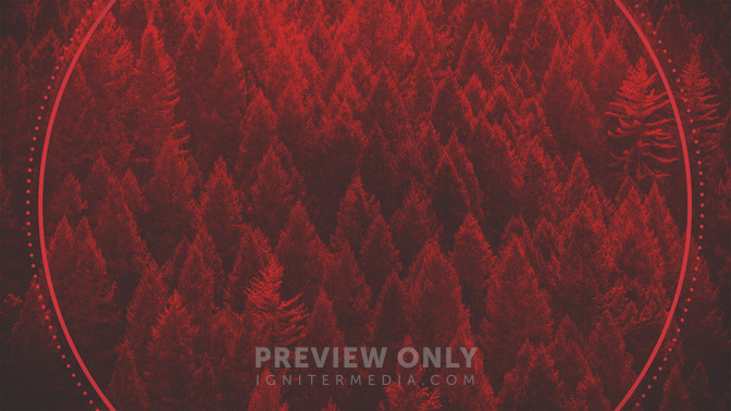Colorized_Christmas_-_Merry_Christmas_16x9-BACKGROUND#preset=tg_bg.jpg