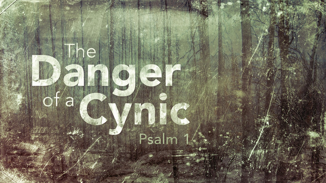 the danger of a cynic