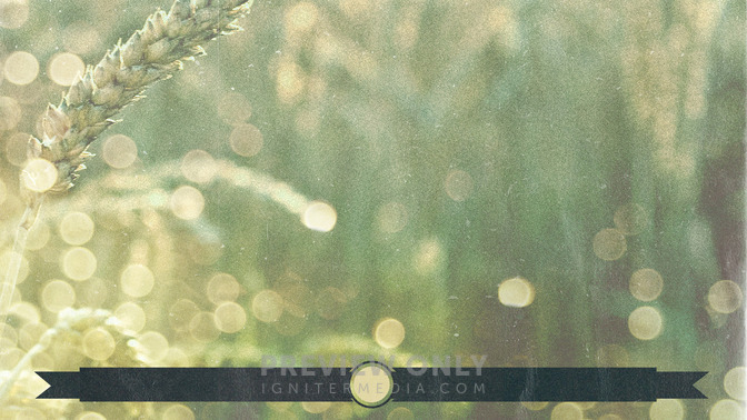 Wheat_Field_-_Upcoming_Events_16x9-BACKGROUND#preset=tg_bg.jpg
