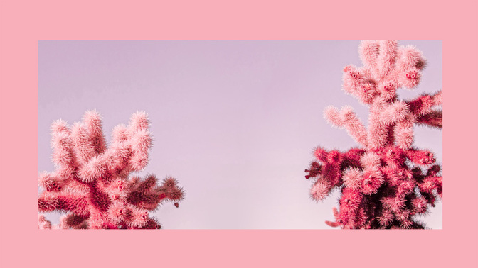 Womens_Ministry-WIDE#preset=tg_title3.jpg