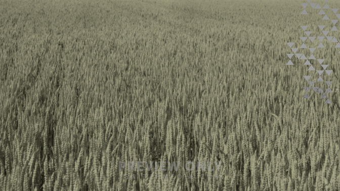 Made_New_16x9-BACKGROUND#preset=tg_bg.jpg