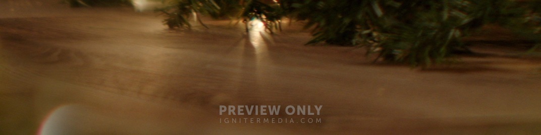 Garland_Lights_Far_UW_SD.jpg