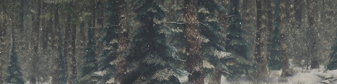 winter wonderland 7
