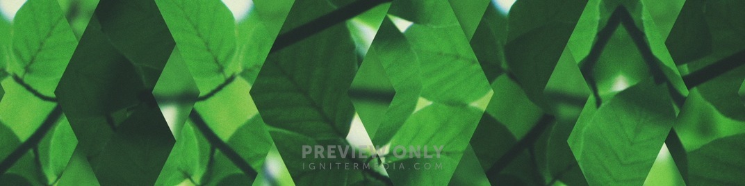 Spring_Shift_Green_Full_UW_SD.jpg