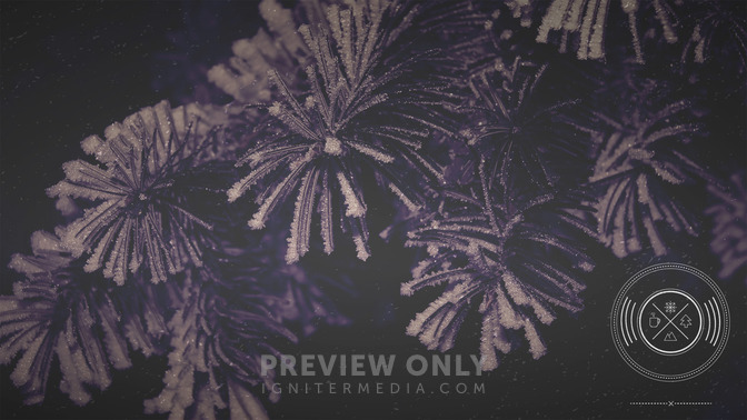 Winter_Woods_-_Thanks_For_Coming_16x9-CONTENT-3#preset=tg_alt3.jpg