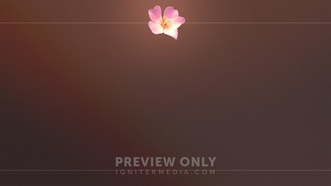 Simple_Flowers-Upcoming_Events_WIDE-BACKGROUND#preset=tg_bg.jpg