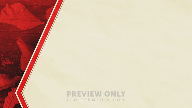 See_You_Later_WIDE-CONTENT-3#preset=tg_alt3.jpg