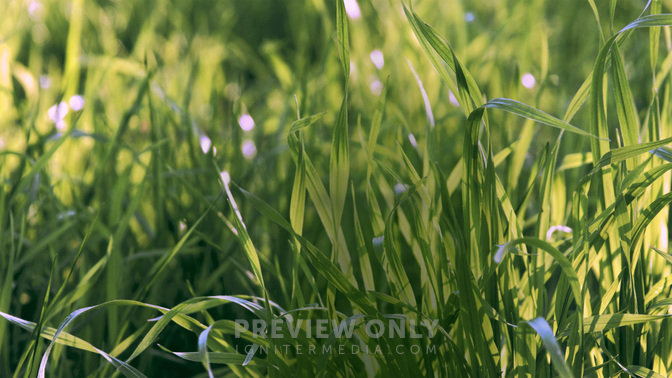 Welcome-WIDE#preset=tg_title3.jpg