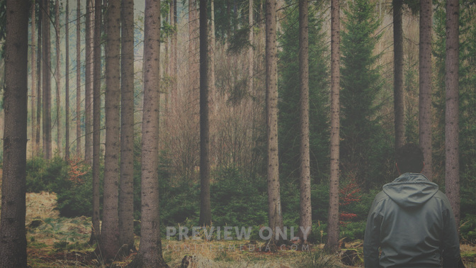 Revealing_God'S_Plan_WIDE-BACKGROUND#preset=tg_bg.jpg