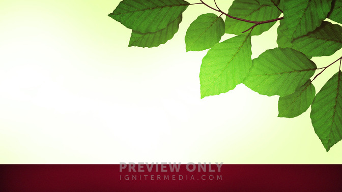 See_You_Next_Week_-_Spring_Leaves_16x9-TITLE-3#preset=tg_title3.jpg