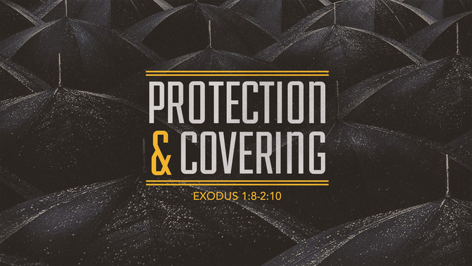 protection & covering