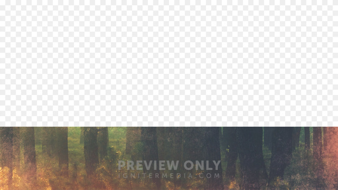 Revival-WIDE#preset=tg_transparent_png_preview.jpg