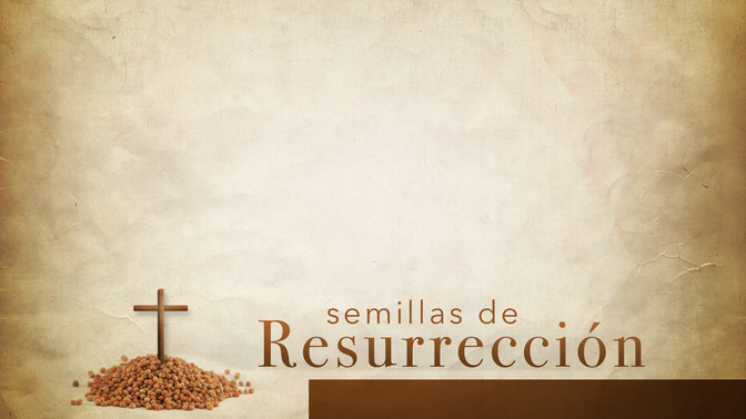 Semillas_de_Resurreccin_16x9-CONTENT-2#preset=tg_alt2.jpg