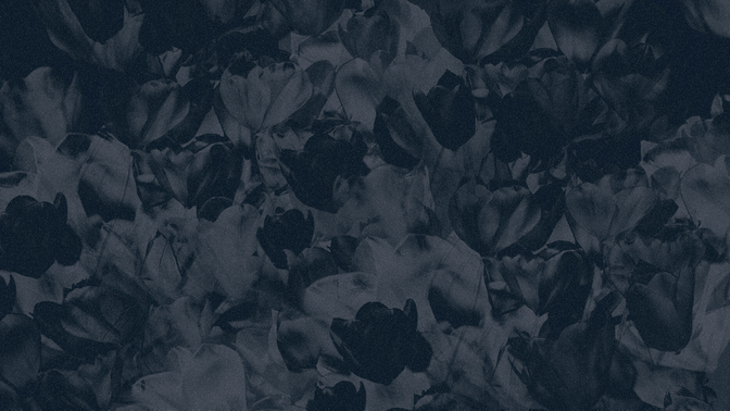 hyper bloom - 13