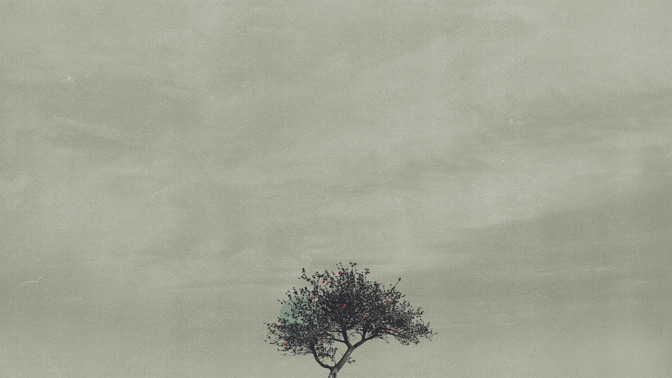 Fruit-Bearing_Season_16x9-BACKGROUND#preset=tg_bg.jpg