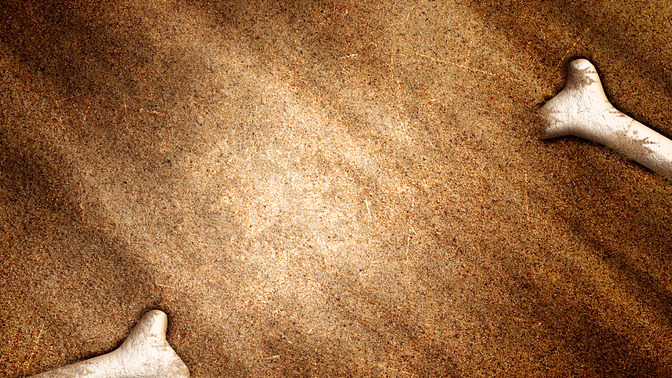 Dead_Bones_That_Live_16x9-TITLE-3#preset=tg_title3.jpg