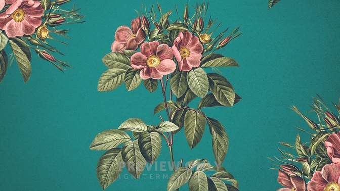 Mothers_Day_Flowers_3_HD.jpg