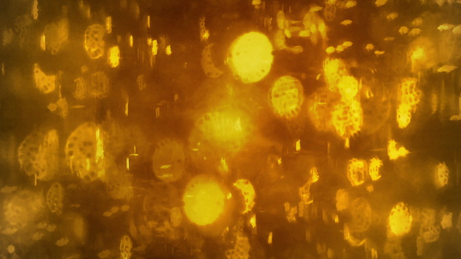 streaked bokeh - static gold