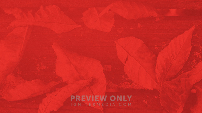 See_You_Later_WIDE-BACKGROUND#preset=tg_bg.jpg