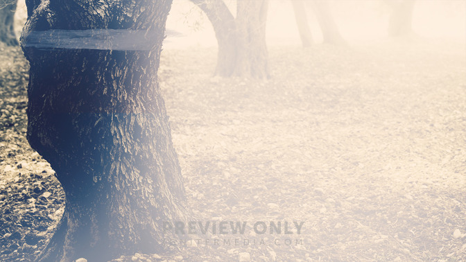 Wisdoms_Cry_16x9-CONTENT-3#preset=tg_alt3.jpg
