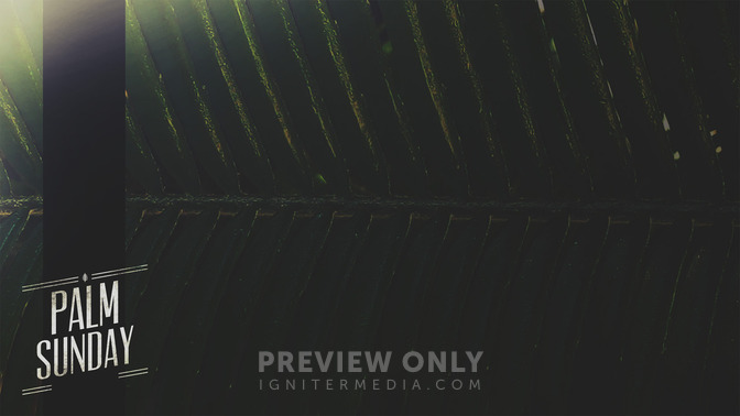 Macro_Easter_-_Palm_Sunday_16x9-CONTENT-2#preset=tg_alt2.jpg