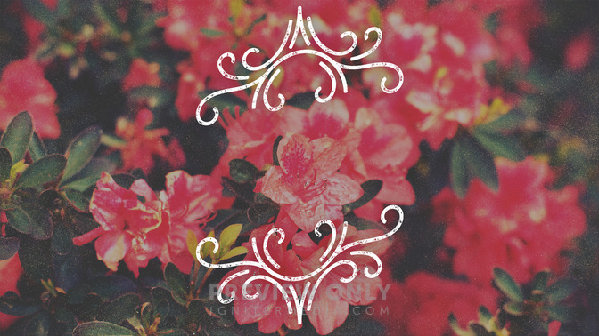 Spring_Swirls_-_Welcome_16x9-TITLE-3#preset=tg_title3.jpg