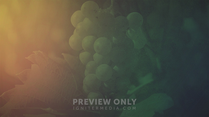 Parable_of_the_Vineyard_16x9-TITLE-3#preset=tg_title3.jpg