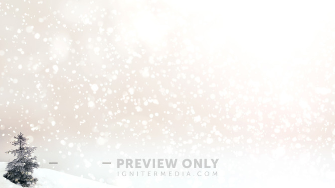 Snowy_Tree_-_Winter_Events_16x9-CONTENT-3#preset=tg_alt3.jpg