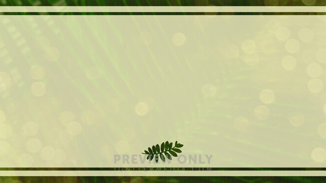 Palm_Bokeh_-_Thank_You_16x9-BACKGROUND#preset=tg_bg.jpg