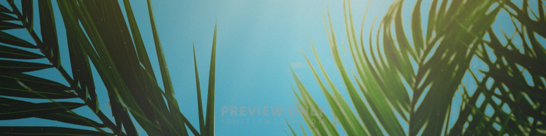 Palm Sunday Branches Ultrawide_SD_1920x480.jpg