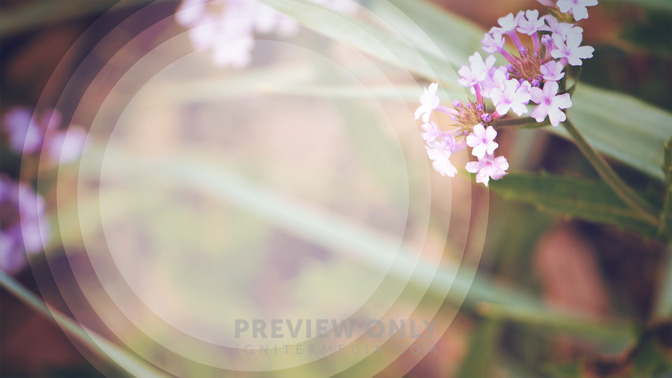 Rest_For_The_Weary_16x9-TITLE-3#preset=tg_title3.jpg