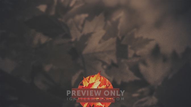 Autumn_Colors-Upcoming_WIDE-CONTENT-3#preset=tg_alt3.jpg