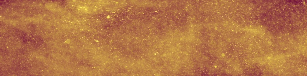 Glitter_Motion_Celebrate_UW_SD.jpg