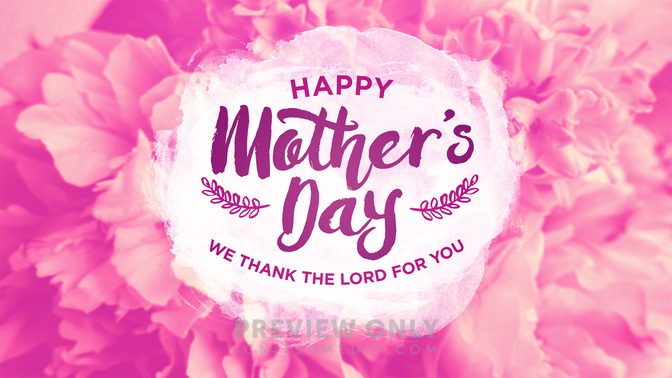 flower fields - happy mothers day