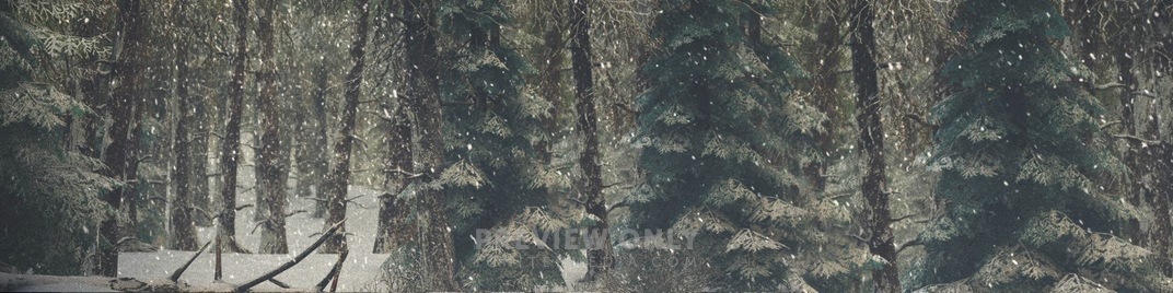 Winter_Wonderland_1_UW_SD.jpg