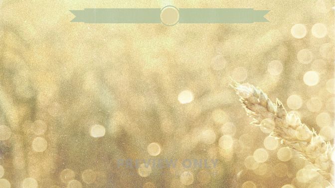 Wheat_Field_-_Thanks_For_Coming_16x9-CONTENT-3#preset=tg_alt3.jpg