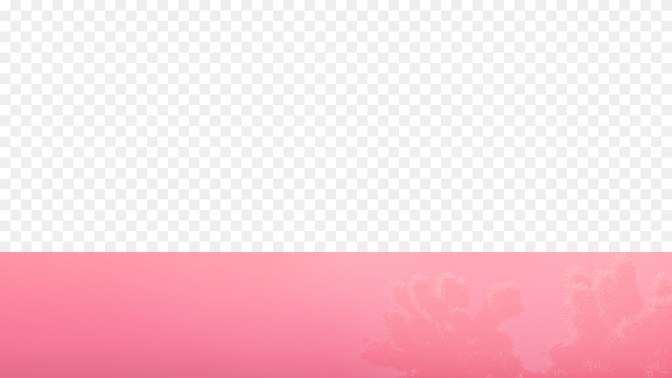 Womens_Ministry-WIDE#preset=tg_transparent_png_preview.jpg