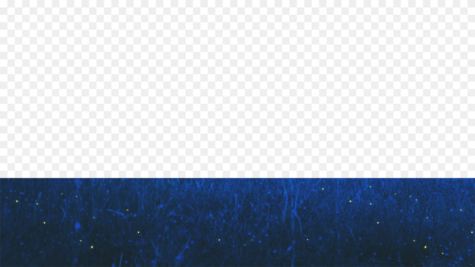 Giving-WIDE#preset=tg_transparent_png_preview.jpg