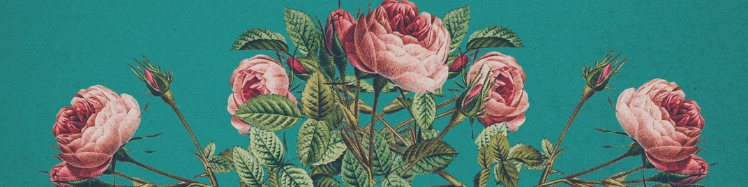 Mothers_Day_Flowers_1_UW_SD.jpg