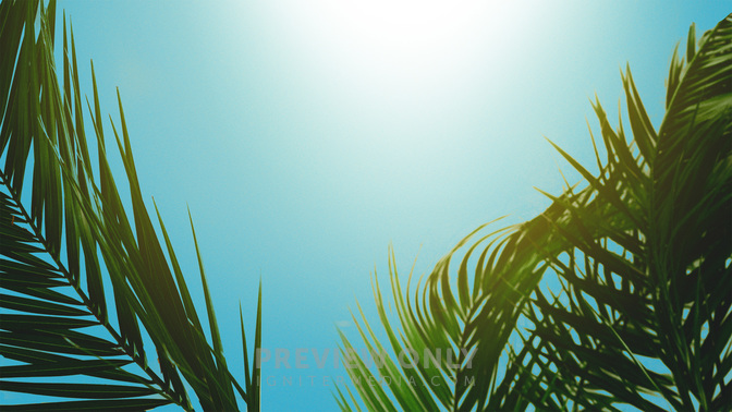 PalmSundayTitle_WIDE-#preset=tg_title3.jpg