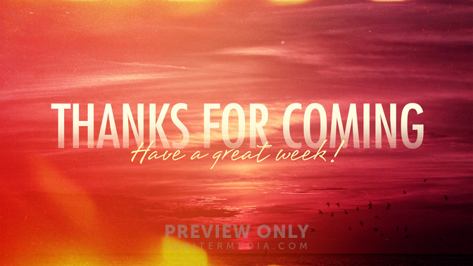 summer hues - thanks for coming
