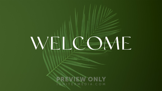 PalmWelcome-WIDE#preset=tg_title2.jpg