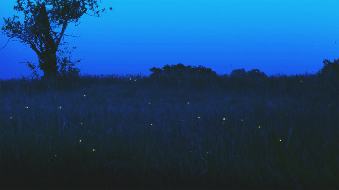 Take_Care-WIDE#preset=tg_title3.jpg
