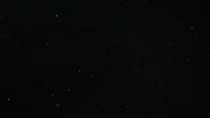 WelcomeToService-WIDE#preset=tg_alt2.jpg
