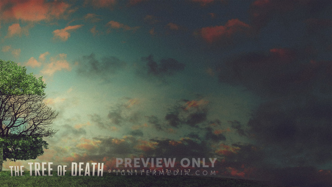 Tree_of_Death_WIDE-CONTENT-1#preset=tg_alt1.jpg