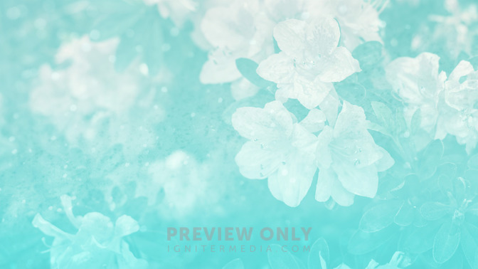 Springtime_-_Welcome_16x9-BACKGROUND#preset=tg_bg.jpg