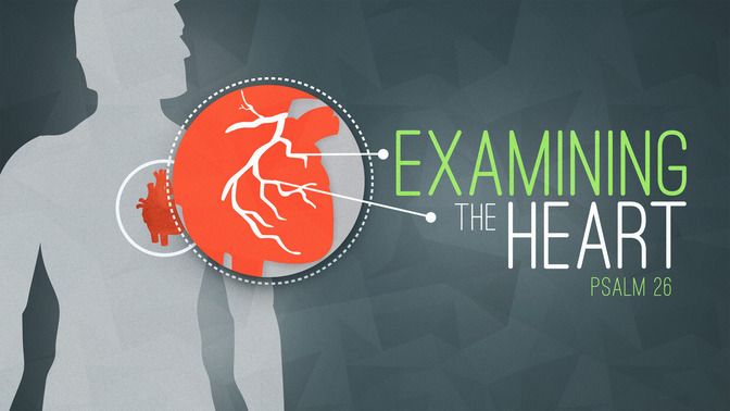examining the heart